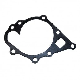 Water pump gasket