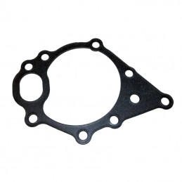 Water pump gasket