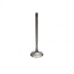 Exhaust valve